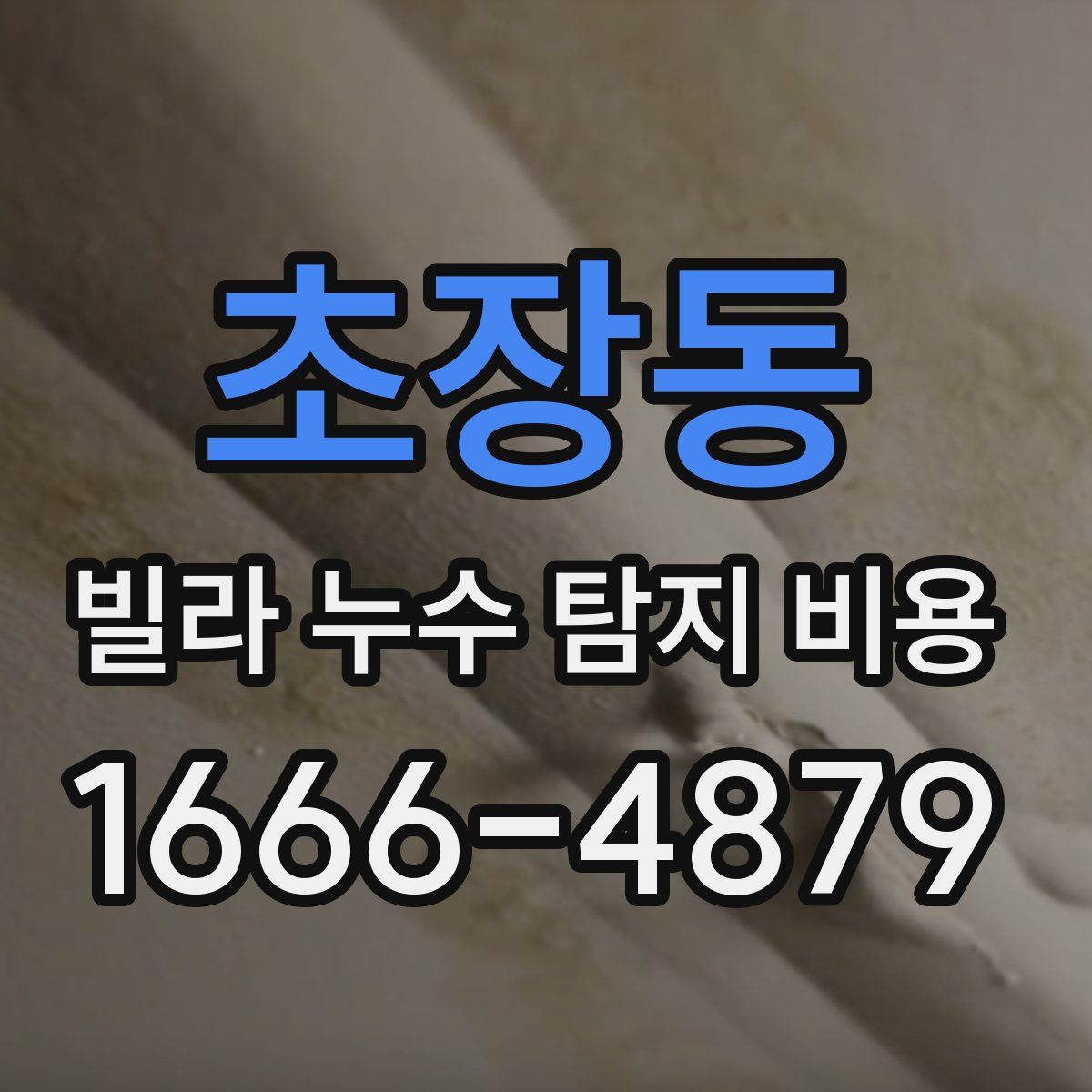 초장동 빌라 누수 탐지 비용