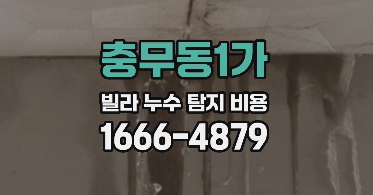 충무동1가 빌라 누수 탐지 비용