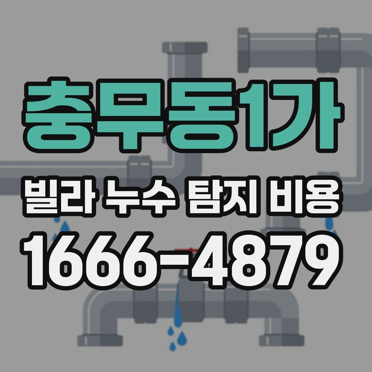 충무동1가 빌라 누수 탐지 비용