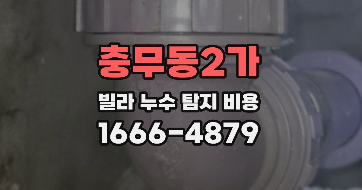 충무동2가 빌라 누수 탐지 비용
