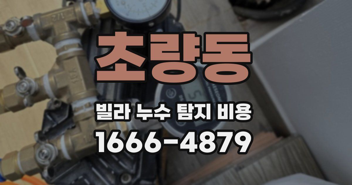 초량동 빌라 누수 탐지 비용