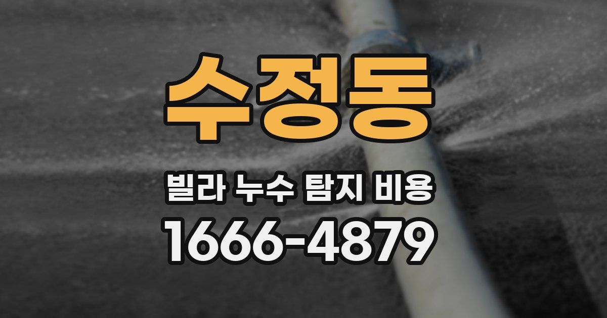 수정동 빌라 누수 탐지 비용