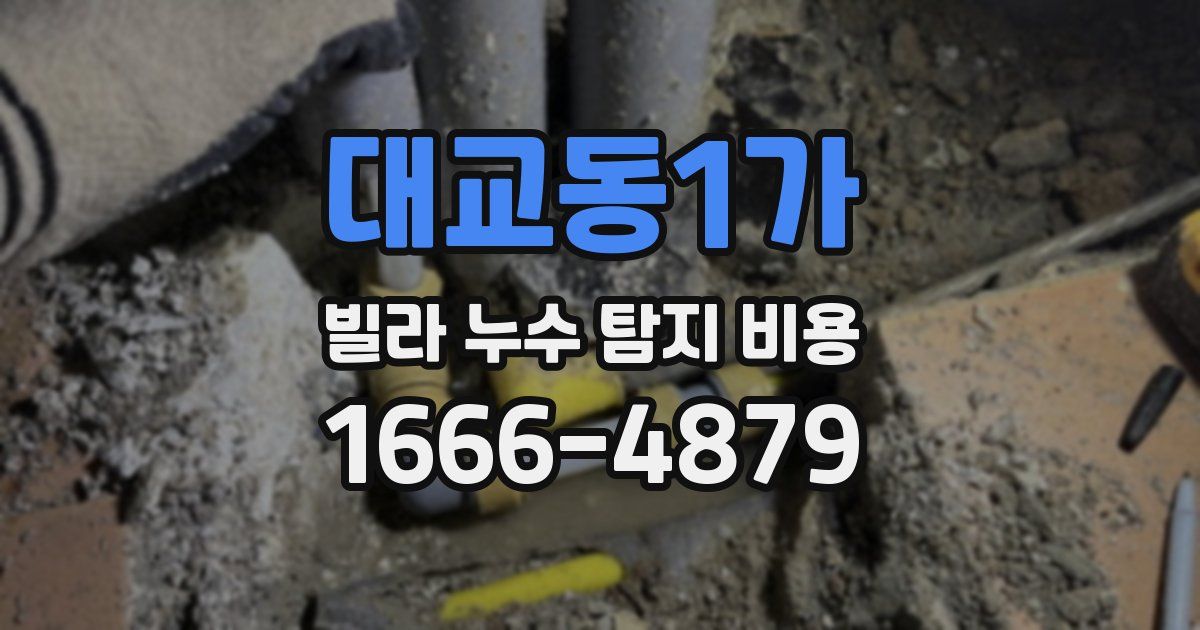 대교동1가 빌라 누수 탐지 비용
