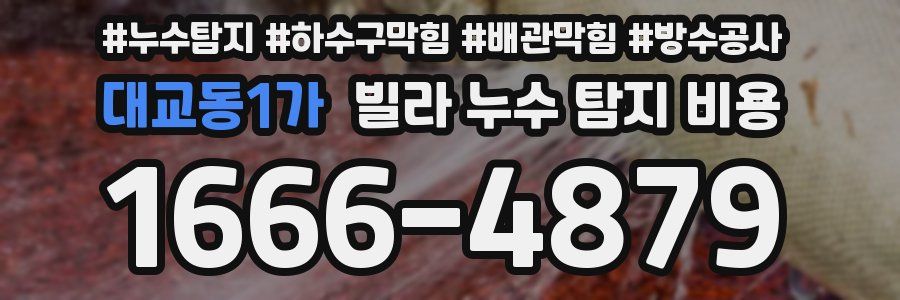 대교동1가 빌라 누수 탐지 비용