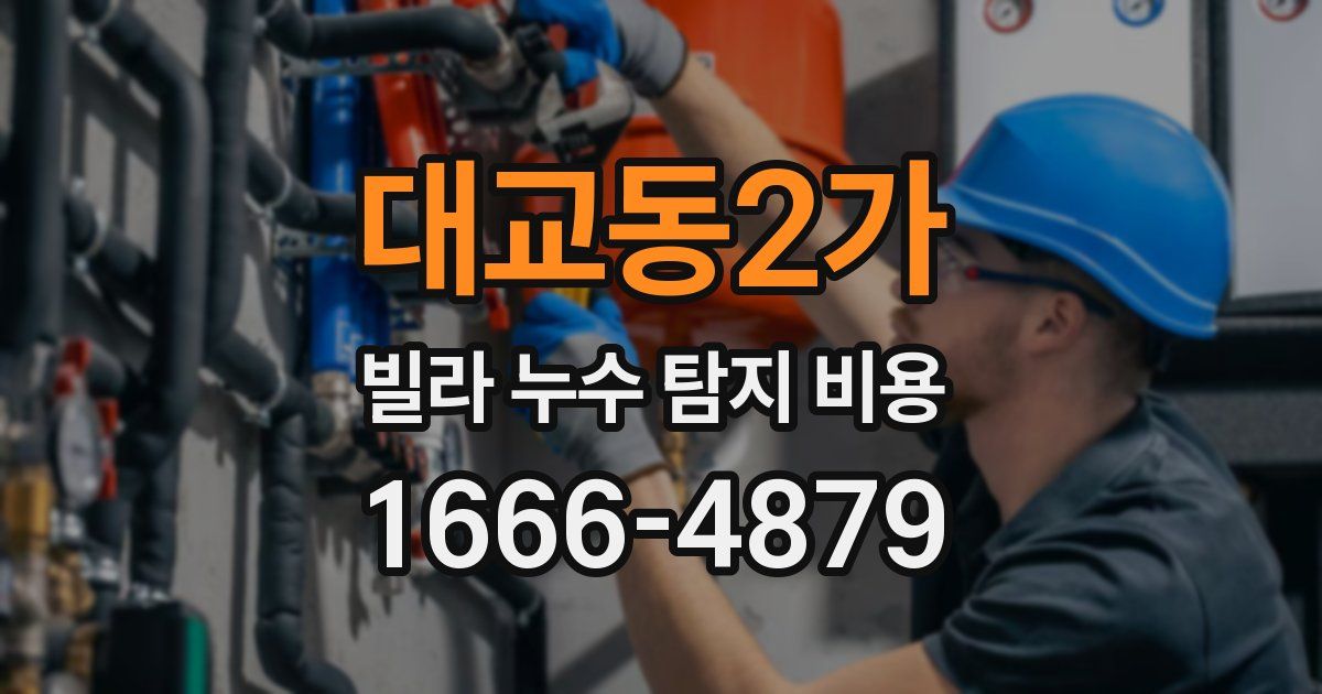 대교동2가 빌라 누수 탐지 비용