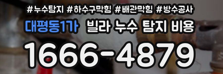 대평동1가 빌라 누수 탐지 비용