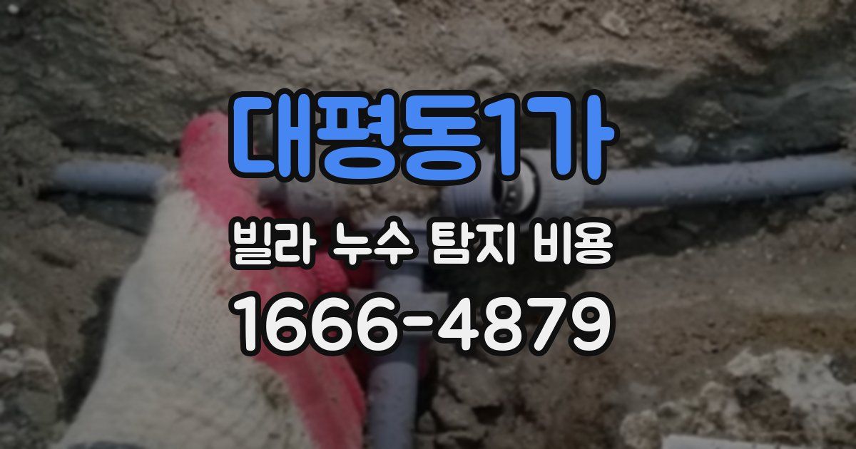 대평동1가 빌라 누수 탐지 비용