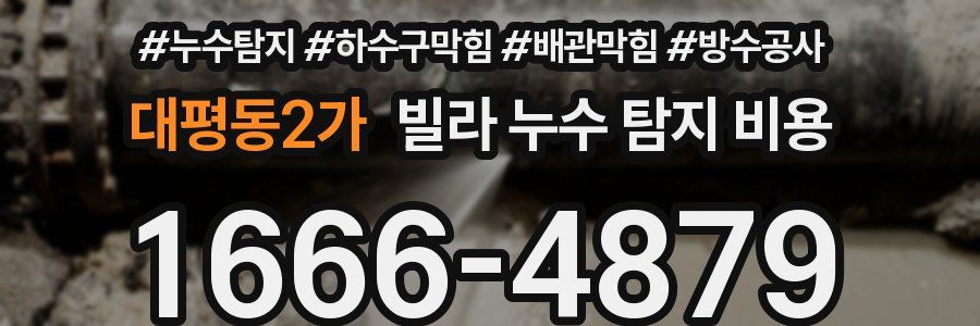 대평동2가 빌라 누수 탐지 비용