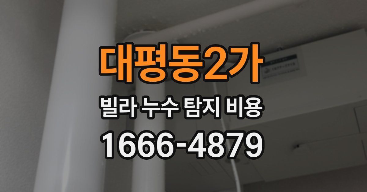 대평동2가 빌라 누수 탐지 비용