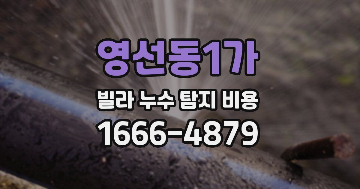 영선동1가 빌라 누수 탐지 비용