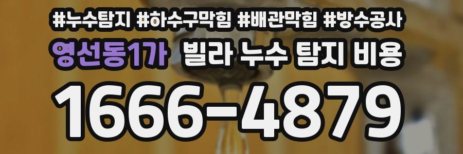 영선동1가 빌라 누수 탐지 비용