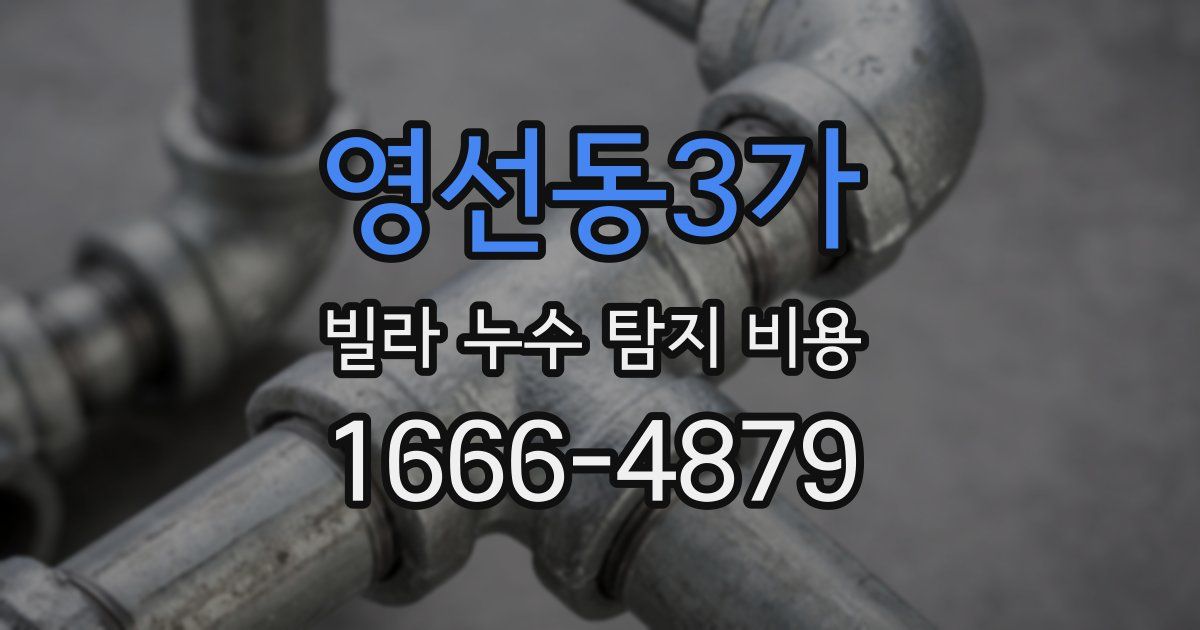 영선동3가 빌라 누수 탐지 비용
