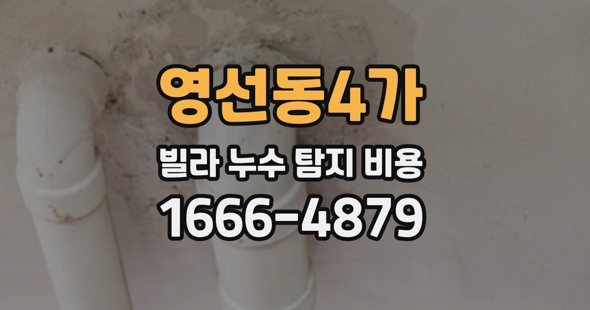 영선동4가 빌라 누수 탐지 비용
