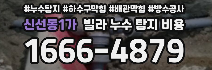 신선동1가 빌라 누수 탐지 비용