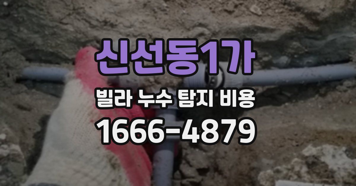 신선동1가 빌라 누수 탐지 비용
