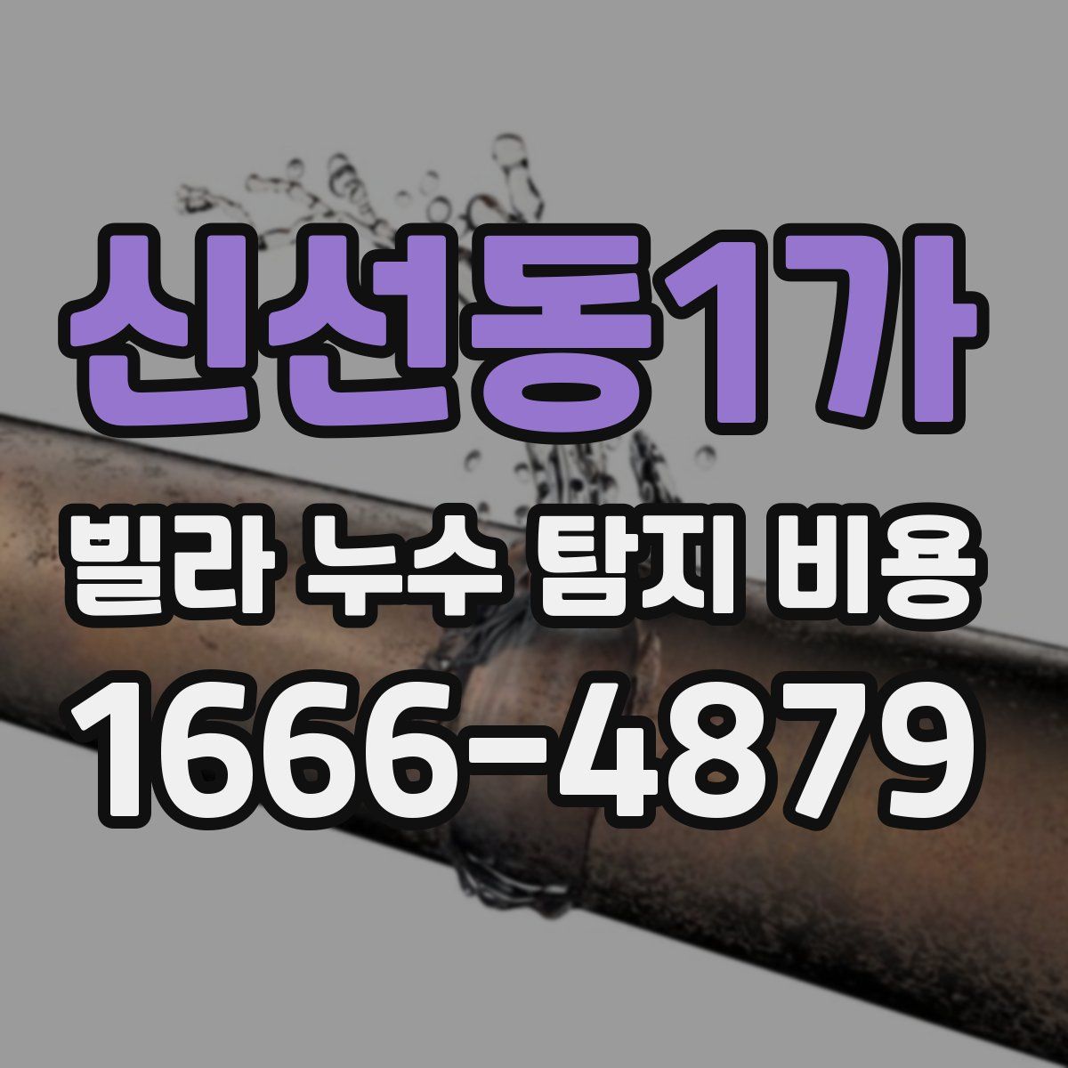 신선동1가 빌라 누수 탐지 비용
