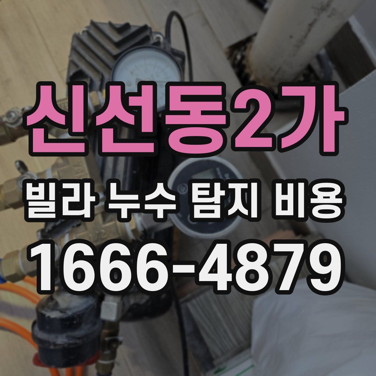 신선동2가 빌라 누수 탐지 비용