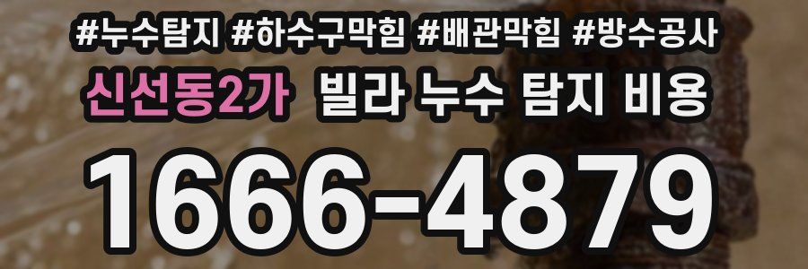 신선동2가 빌라 누수 탐지 비용