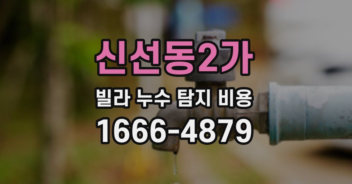 신선동2가 빌라 누수 탐지 비용