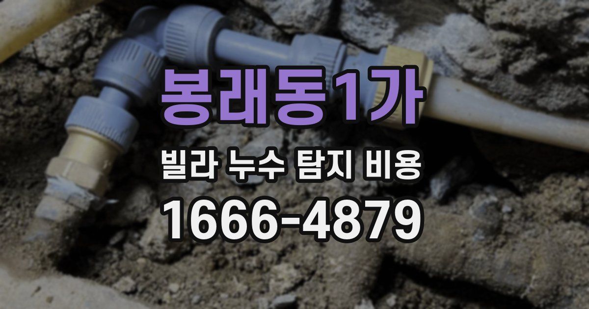 봉래동1가 빌라 누수 탐지 비용
