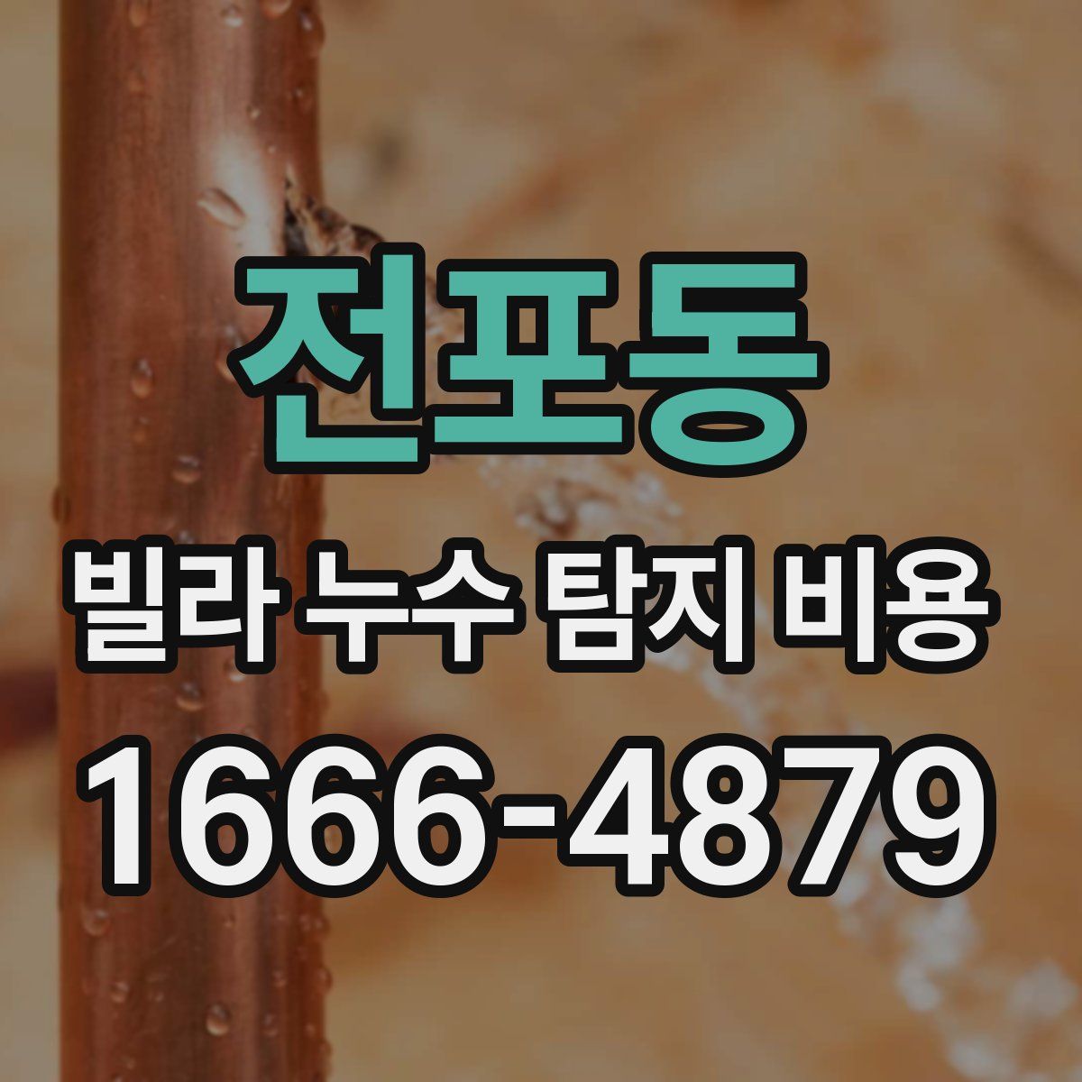 전포동 빌라 누수 탐지 비용