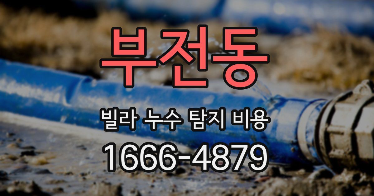 부전동 빌라 누수 탐지 비용