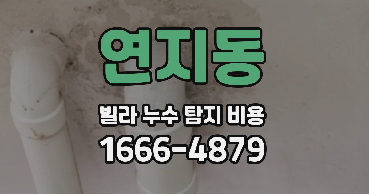 연지동 빌라 누수 탐지 비용