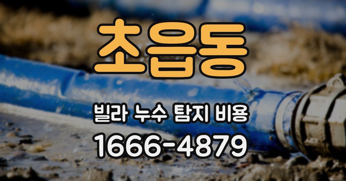 초읍동 빌라 누수 탐지 비용