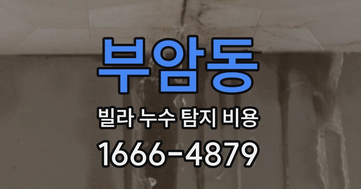 부암동 빌라 누수 탐지 비용