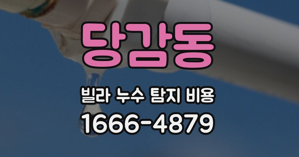 당감동 빌라 누수 탐지 비용