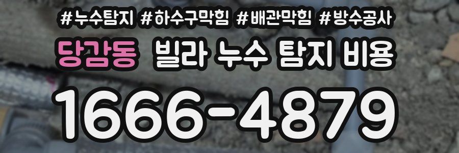 당감동 빌라 누수 탐지 비용
