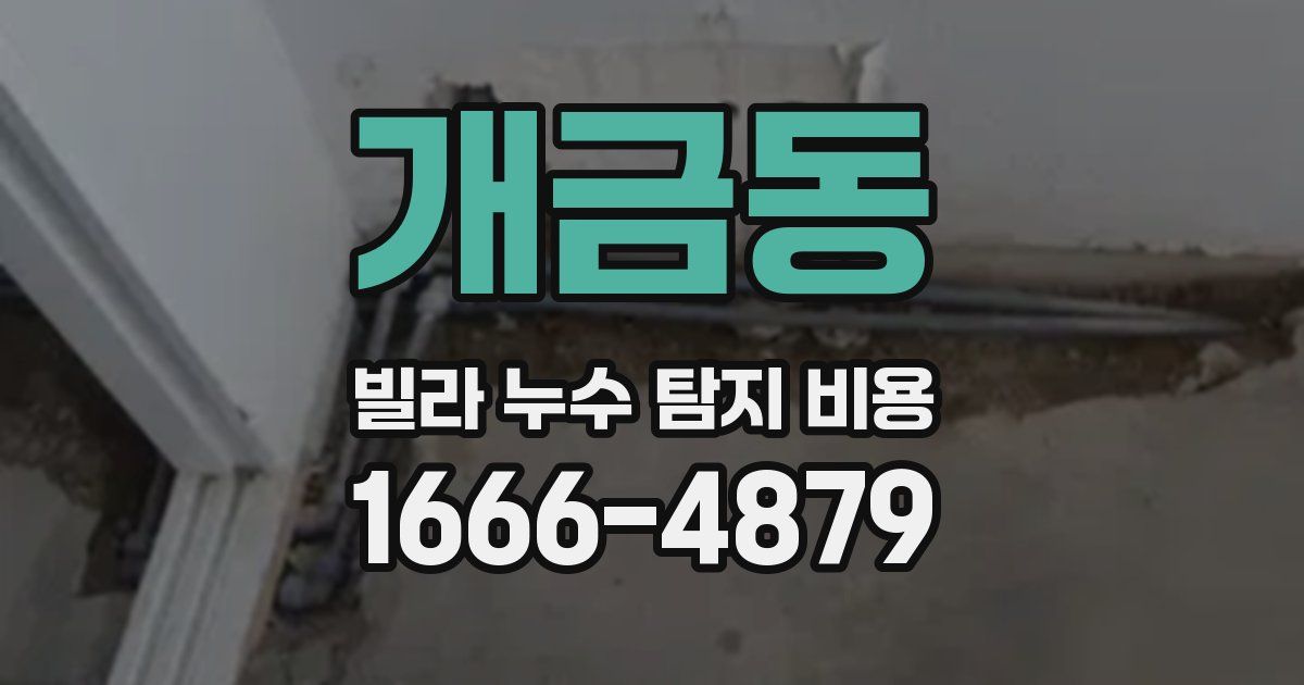개금동 빌라 누수 탐지 비용