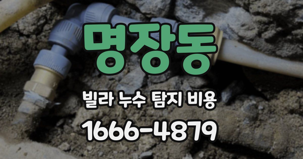 명장동 빌라 누수 탐지 비용