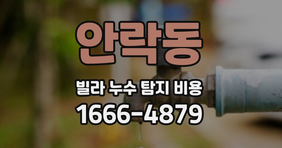 안락동 빌라 누수 탐지 비용