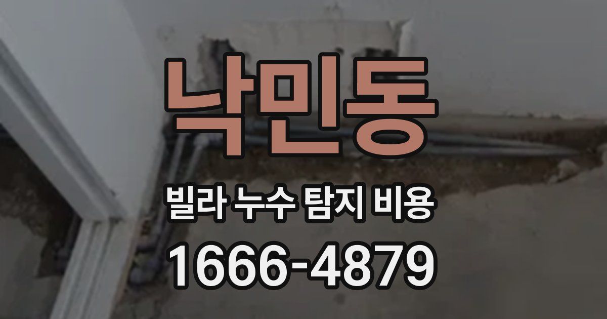 낙민동 빌라 누수 탐지 비용