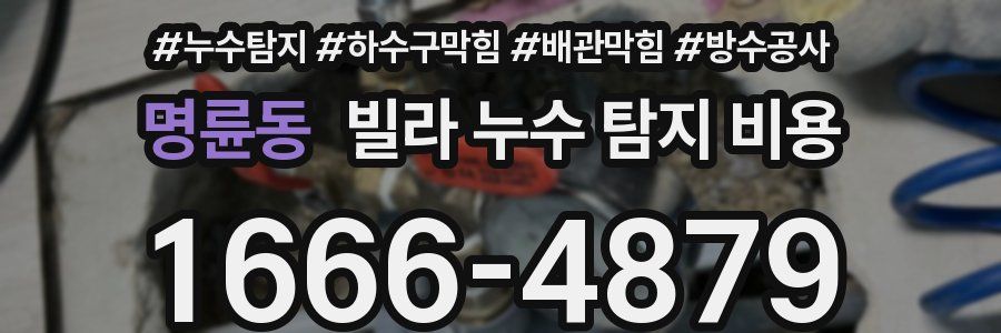 명륜동 빌라 누수 탐지 비용