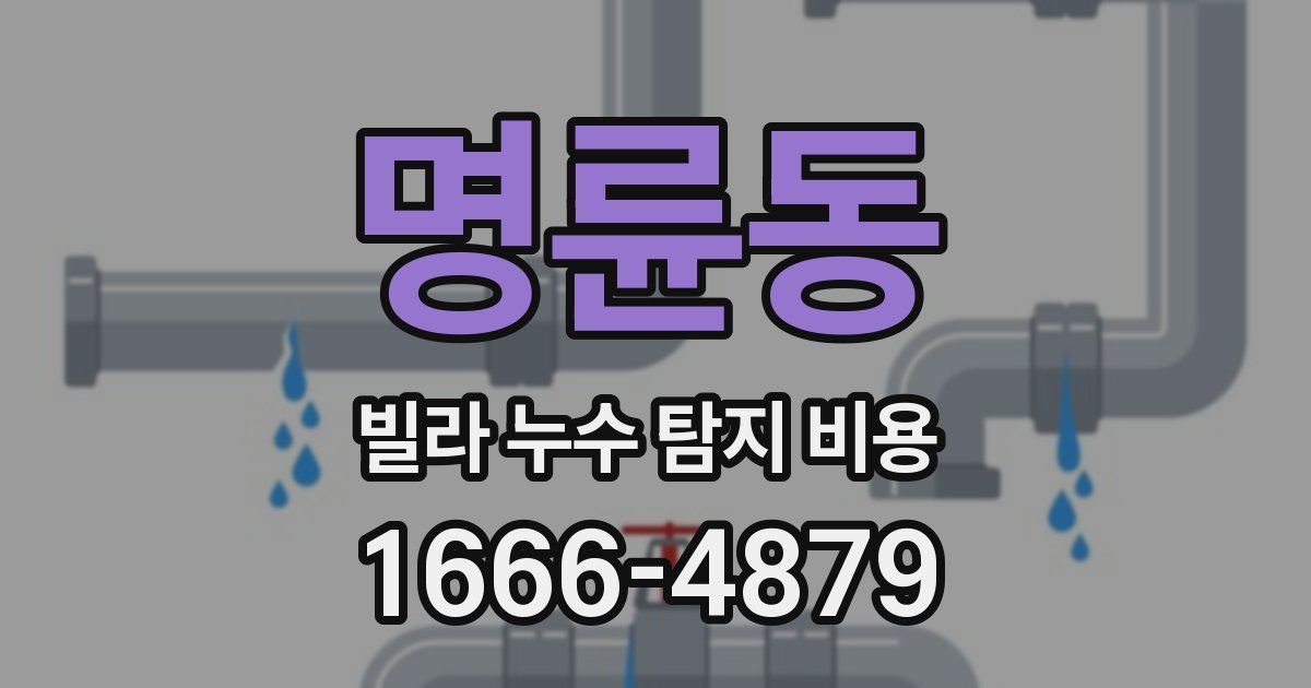명륜동 빌라 누수 탐지 비용