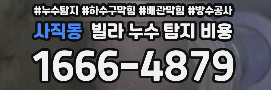 사직동 빌라 누수 탐지 비용