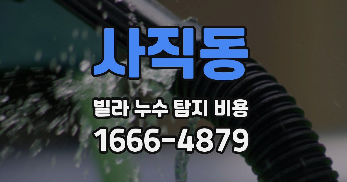 사직동 빌라 누수 탐지 비용