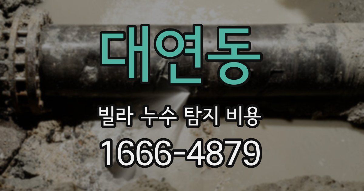 대연동 빌라 누수 탐지 비용