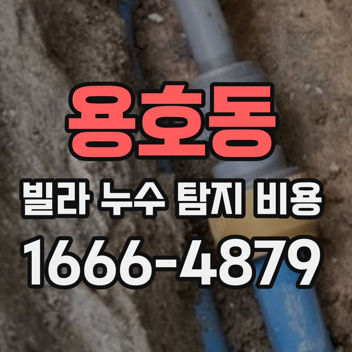 용호동 빌라 누수 탐지 비용