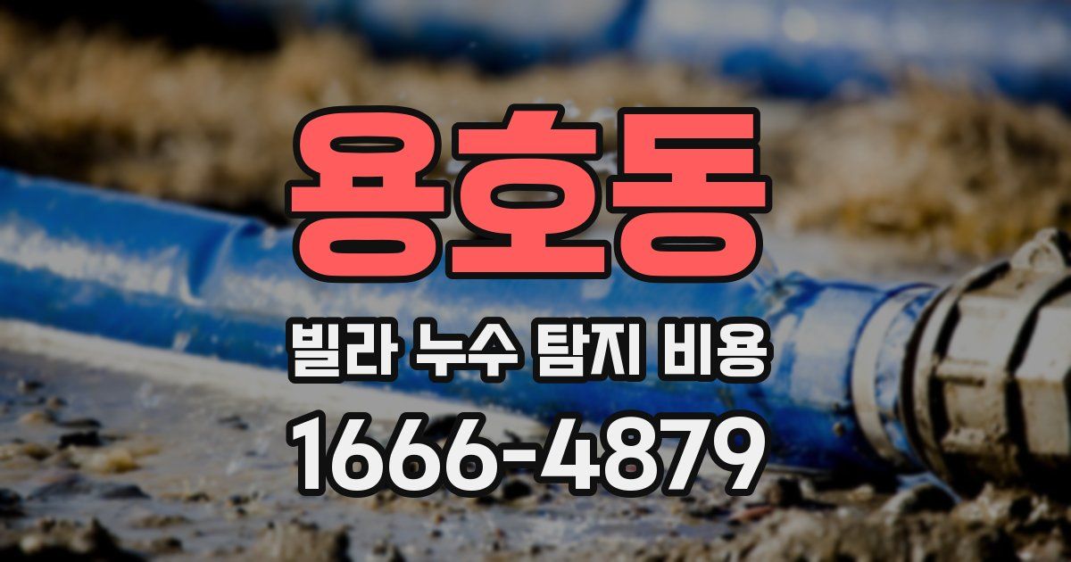 용호동 빌라 누수 탐지 비용
