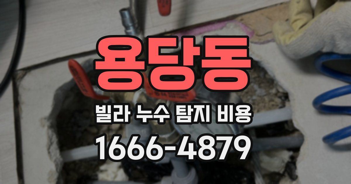 용당동 빌라 누수 탐지 비용