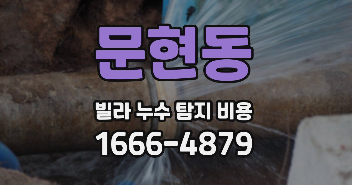 문현동 빌라 누수 탐지 비용