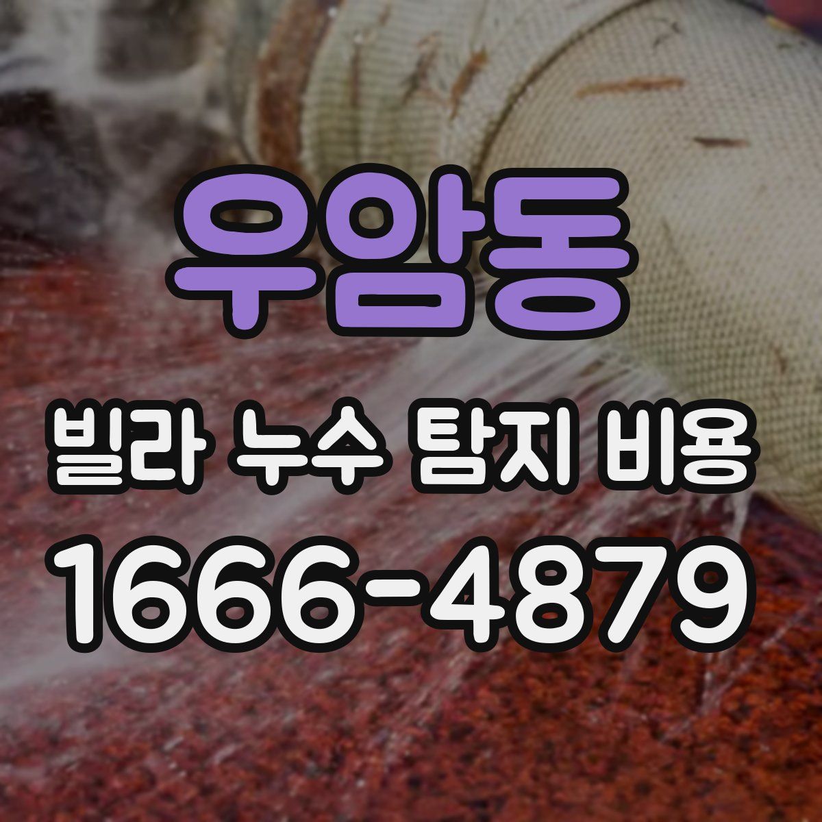 우암동 빌라 누수 탐지 비용