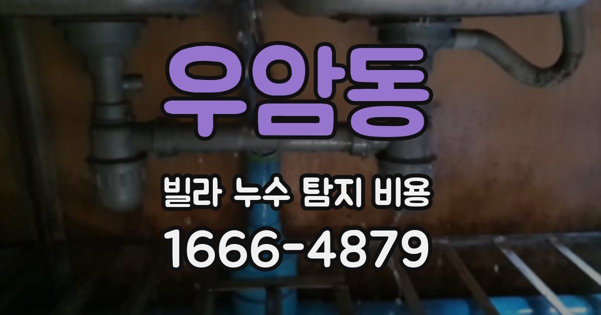 우암동 빌라 누수 탐지 비용