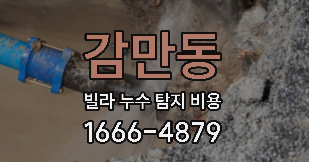감만동 빌라 누수 탐지 비용