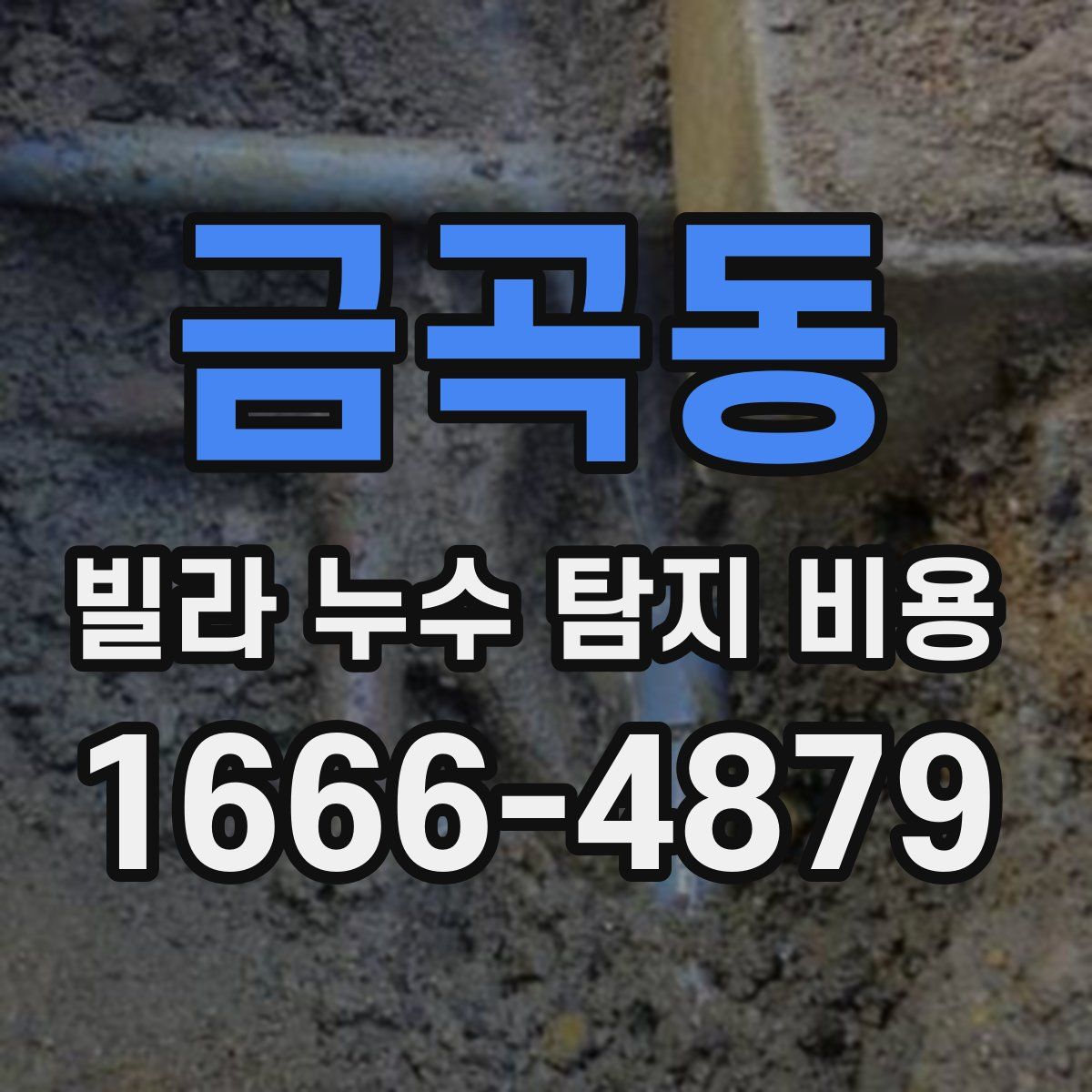 금곡동 빌라 누수 탐지 비용
