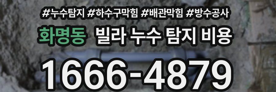 화명동 빌라 누수 탐지 비용