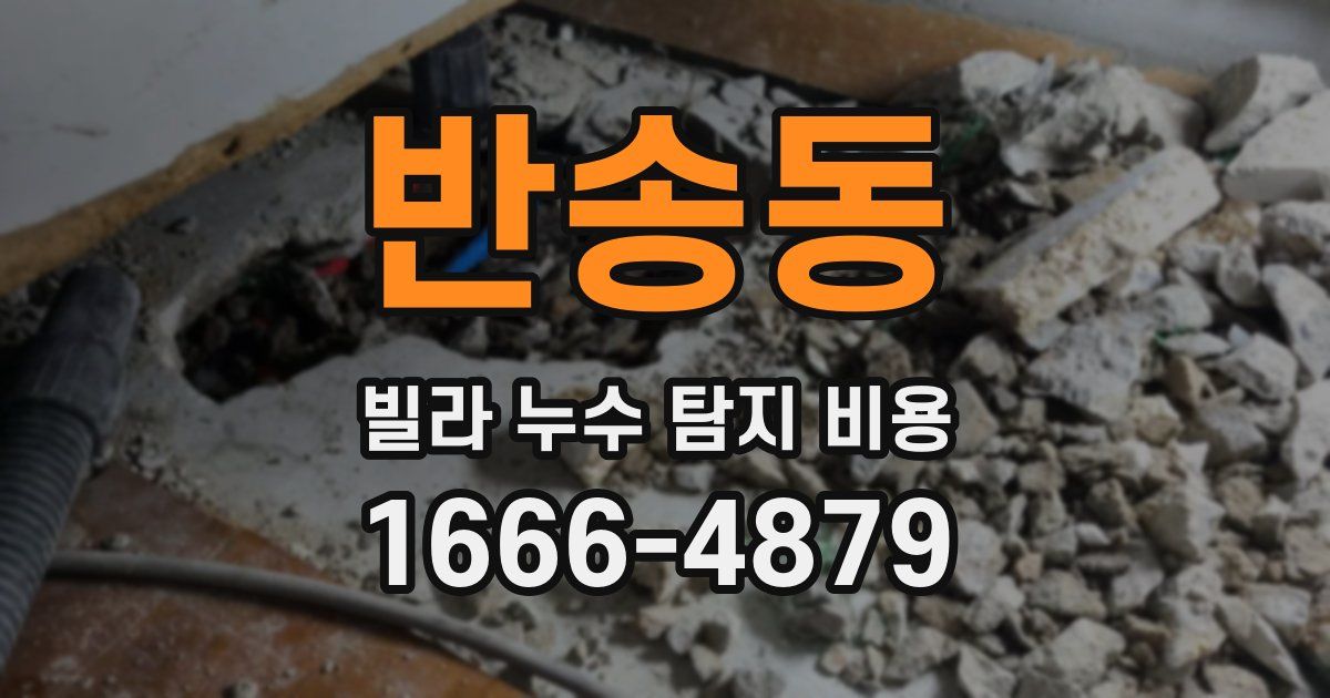반송동 빌라 누수 탐지 비용